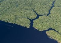 Anavilhanas jungle lodge localizacao
