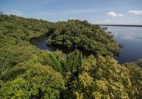 Anavilhanas jungle lodge paisagem
