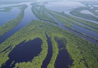 Anavilhanas jungle lodge vist aerea