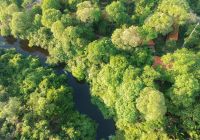 Aymara lodge pantanal mato grosso drone
