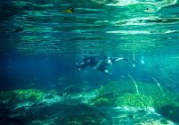 Bonito mato grosso do sul mergulho