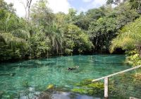 Bonito mato grosso do sul pessoa nadando aguas