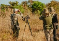 Brasil bahia pousada trijuncao observacao aves