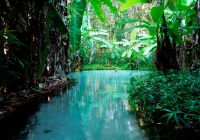 Brasil jalapao fervedouro tocantis agua nadar