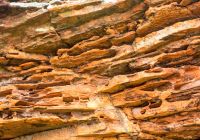 Chapada das mesas b