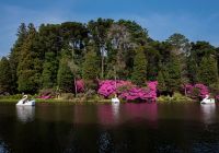 Cidade de Gramado - Lago Negro