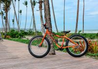 Fasano trancoso bicicleta