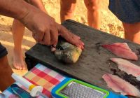 Food and safarri pantanal file de peixe