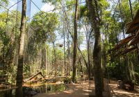 Foz do iguacu parque das aves interior