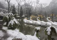 Gramado inverno neve