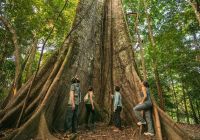 Gui gomes uakari lodge b