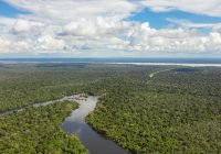 Gui gomes uakari lodge d
