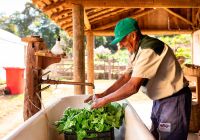 Ibiti projeto gaia organicos