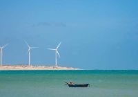 Icaraí de Amontada - Alagoas