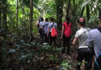 Juma lodge caminhada na floresta