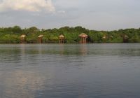 Juma lodge vista externa bangalos com vista rio