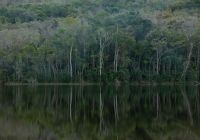 Lago Negro - Ibiti Village