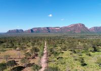 Mato grosso brasil chapada dos guimareas campo