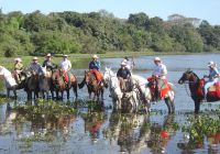 Ms barra mansa pantanal cavalgada