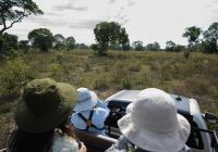 Mt araras eco lodge safari