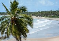 Mtur alagoas sao miguel dos milagres praia do patacho marco ankosqui