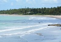 Mtur alagoas sao miguel dos milagres praia do toque aerea marco ankosqui