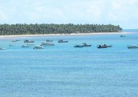 Mtur alagoas sao miguel dos milagres praia do toque barcos marco ankosqui