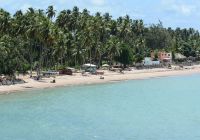 Mtur alagoas sao miguel dos milagres praia do toque coqueiro marco ankosqui