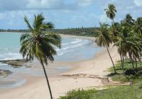 Mtur alagoas sao miguel dos milagres praia do toque coqueiros marco ankosqui
