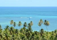 Mtur alagoas sao miguel dos milagres praia do toque mar marco ankosqui