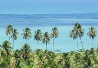 Mtur alagoas sao miguel dos milagres praia do toque vista marco ankosqui