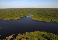 Mtur amazonas manaus lago tarum ana claudia jatahy