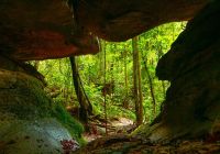Mtur amazonas novo airao grutas do madada ana claudia jatahy