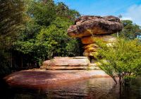 Mtur amazonas novo airao pedra do sanduiche ana claudia jatahy