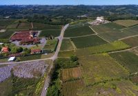Mtur bento goncalves rs vale dos vinhedos aerea renato soares