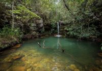 Mtur go cachoeira loquinhas alto paraiso augusto miranda
