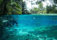 Mtur mato grosso do sul bonito nascente azul baixo dagua flavio andre