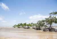 Mtur para soure fazenda extrativista sao jeronimo praia bruna brandao