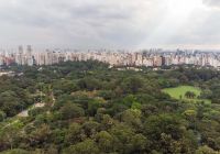Mtur sao paulo parque do ibirapuera rogerio cassimiro