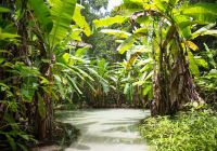 Mtur tocantins jalapao mateiros fervedouro rio sono flavio andre