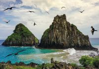 Noronha 03