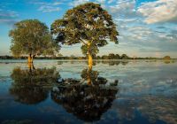 Paisagem do Pantanal