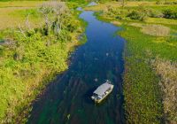 Pantanal river cruise flutua o paraguai mirim v lucas ramos mendes
