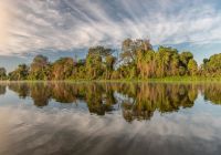Pantanal river cruise paisagem rio andre dib
