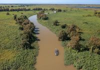 Pantanal river cruise passeio rio vista aerea andre dib