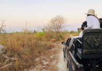 Pousada trijuncao safari