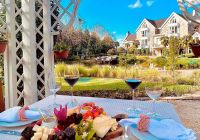 Saint andrews experiencia com vinho