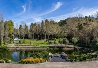 Saint andrews jardim 5