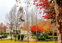 Saint andrews jardim 6