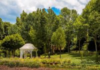 Saint andrews jardim 8